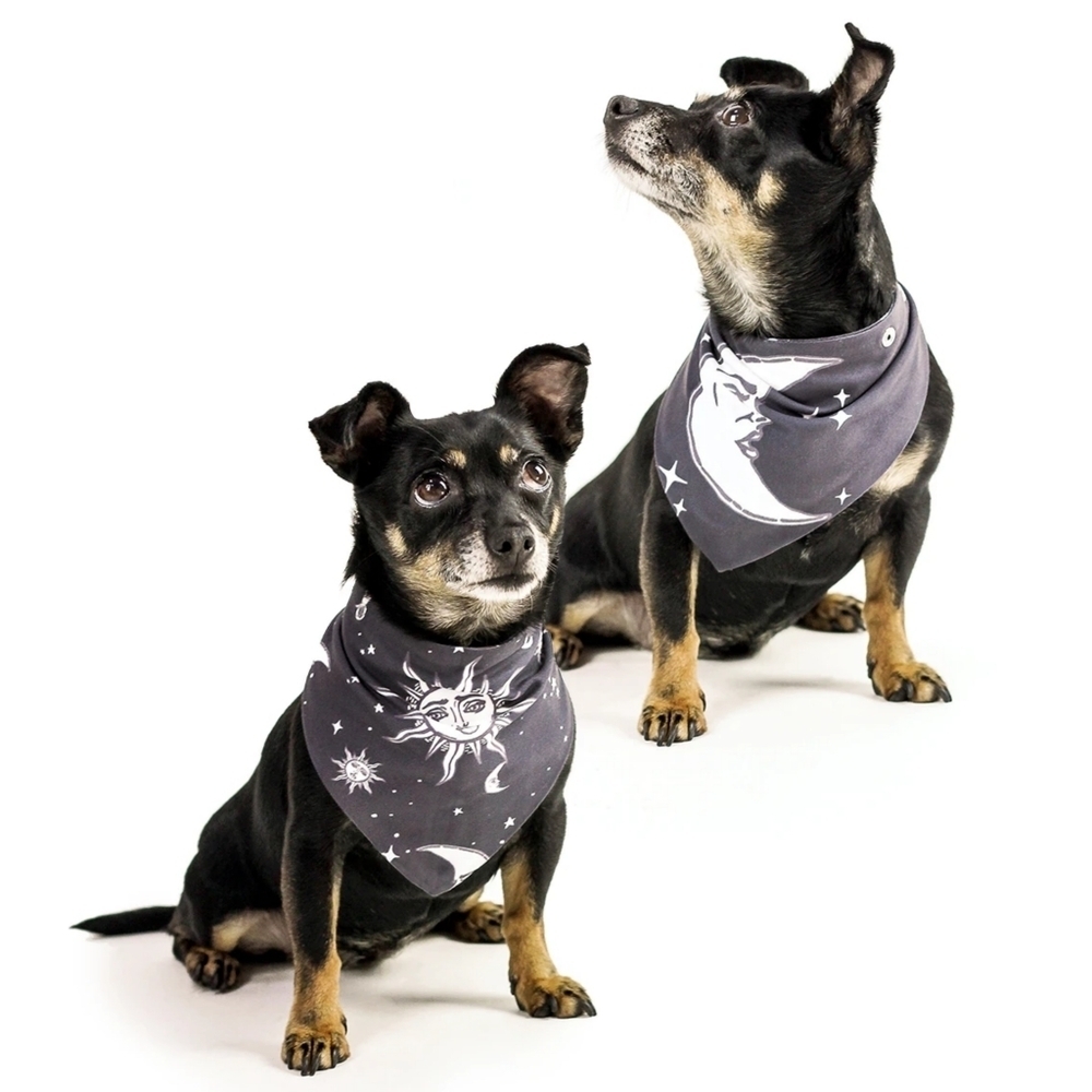 Rogue + Wolf ✦ Reversible Celestial Pet Bandana ✦ Sun Moon Stars Black Vegan NWT
